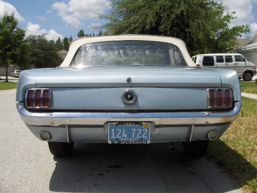 rearview.jpg