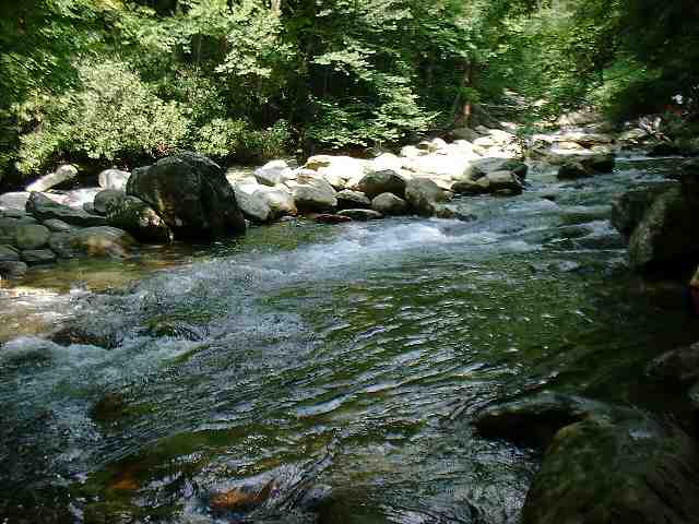 DSCF0143.JPG