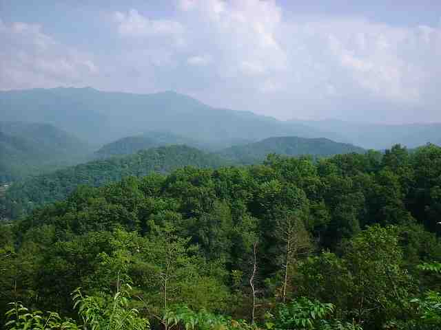 DSCF0146.JPG