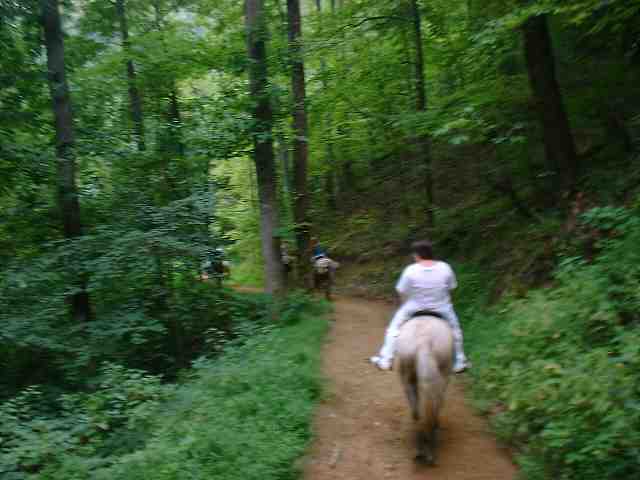 DSCF0189.JPG
