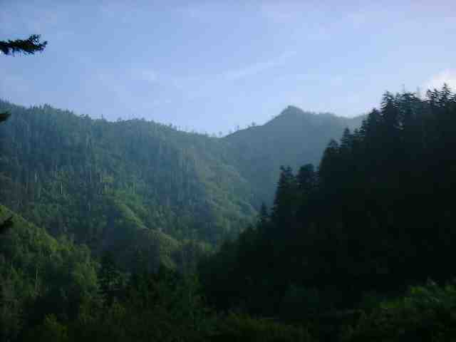 DSCF0199.JPG